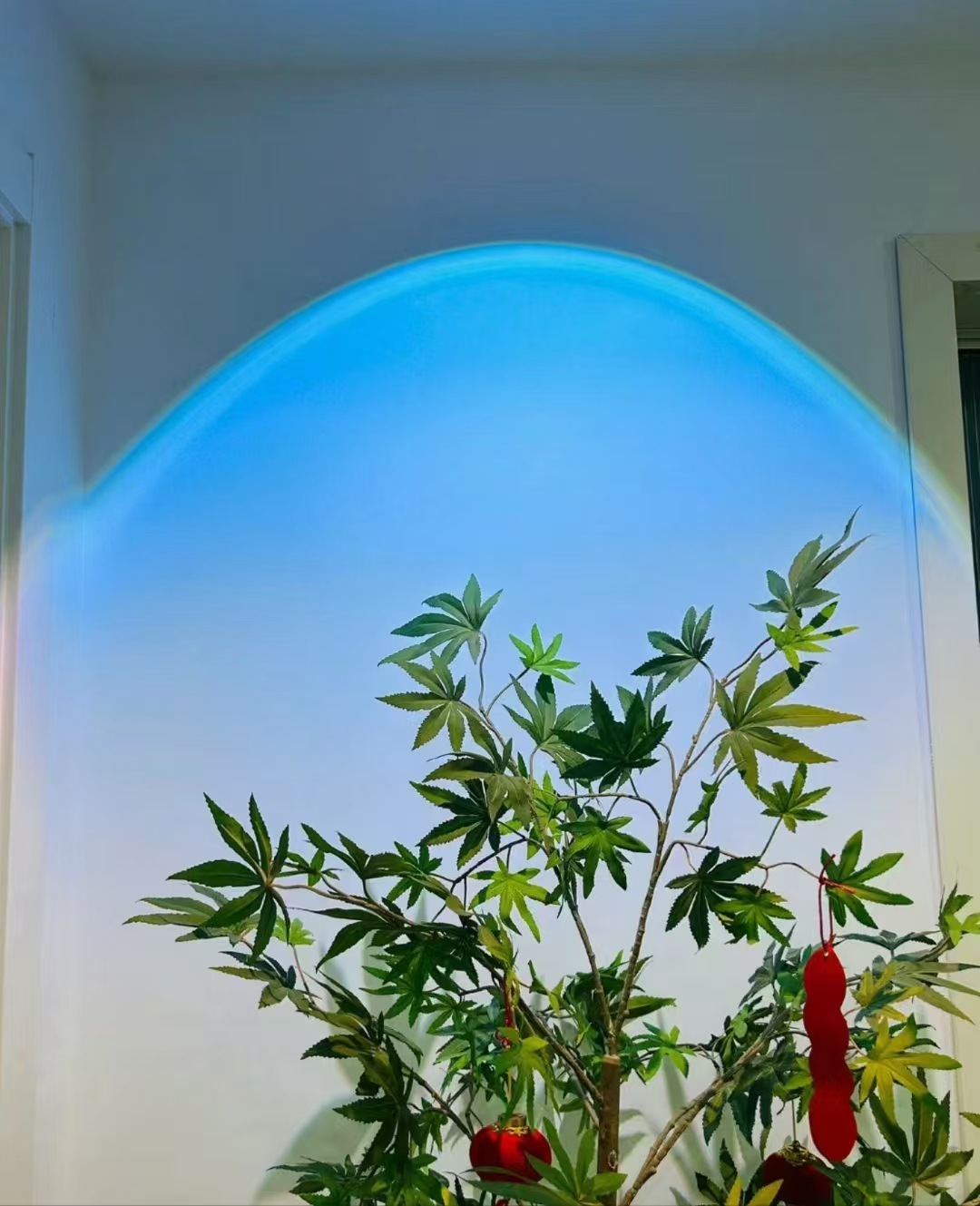 표면 장착 10w 파란색 보라색