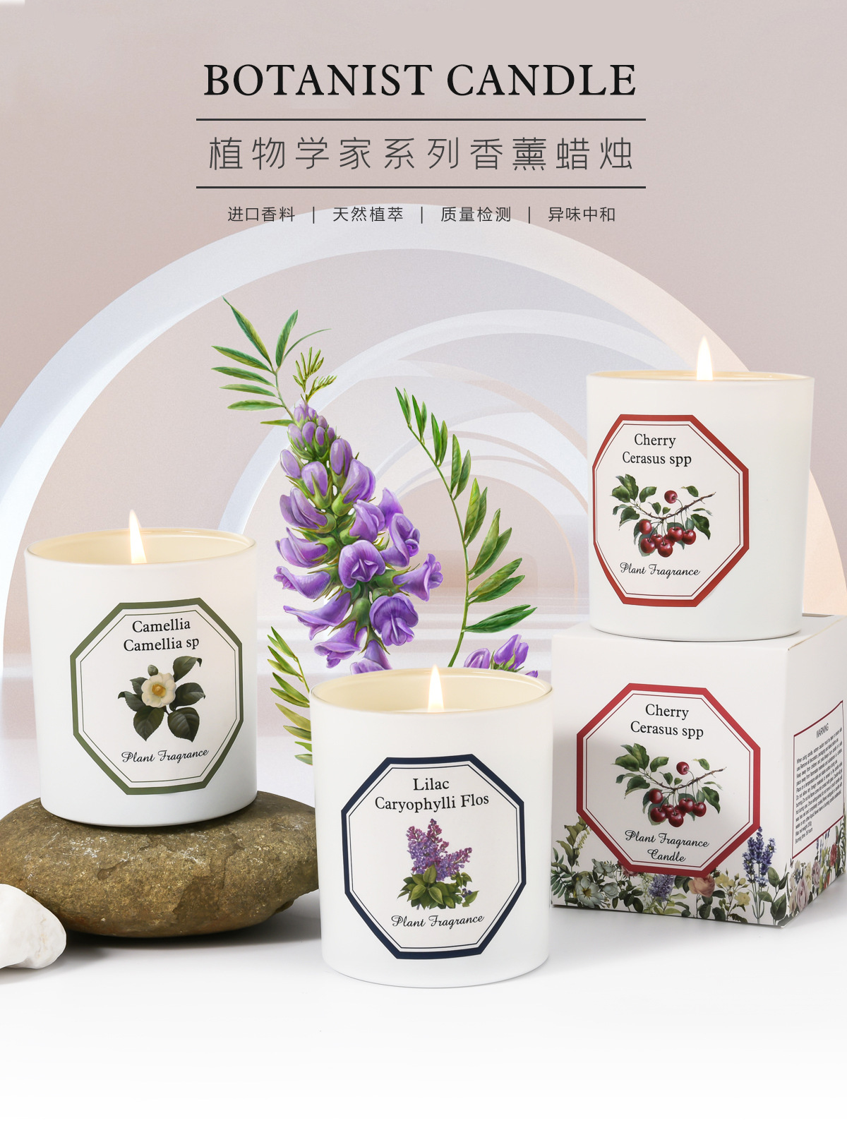 植物学家蜡烛_01