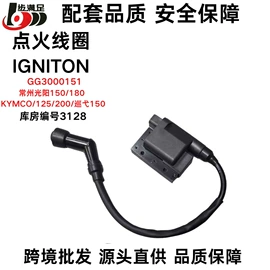 点火线圈;电子调节器;点火器