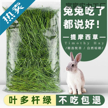 ʳÕĦĥʳò؈ɲݲݼZ