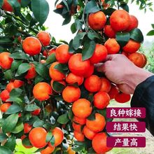 ���ڼ޽ӟo��ɰ����������ԟo��ɳ�ǽ��Ϸ����������箔��Y��