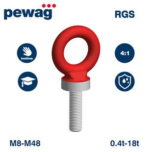 pewag lifting point bolt RGS mould lifting ring sling bolt lifting ring