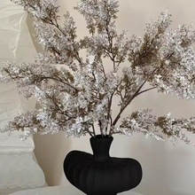 �Fڡ�Gֲ�ٻ������[�������L�մɻ�ƿ�͏d�廨�ɻ���ˇ�b�