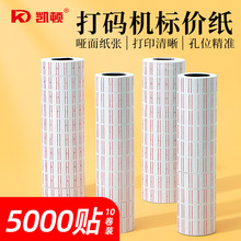 �P�D���֌���a�C�˃r��������Ʒ�r��˺��N���r�������ۃr��˺�