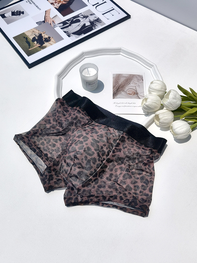 25413-수컷 갈색 표범 무늬