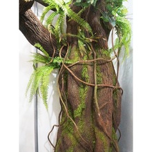 ����ˮ�ܘ�Ƥ�b��ړ�ů����{�ܵ�����٘�Ƥ�����ӹܵ��쾰