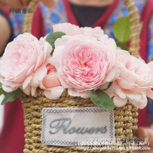 �¼������ش󻨻ܾGֲ���҃�����õ���֭�̨�Nޱ����������̫��