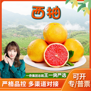 �����x�������t������ ���l1/9�ﮔ���t���������r�ЋDˮ��������