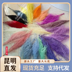 永生龍卸売り須草家庭装飾壁掛け藤植物ウェディング装飾アスパラ草羽草龍須草