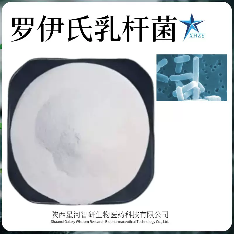 罗伊氏乳杆菌100亿活性乳酸菌 益生菌冻干粉 500克/袋量大优惠