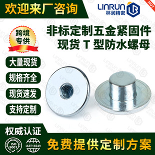 �F؛����M5����T�ʹ�ƽ�^��ĸ ��ˮ�A���^��ƽ�^�T�ȫ�ݼy�A���^