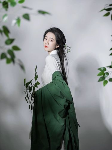 Women Chinese Hanfu female wei jin feng fairy oversized sleeve cotton and linen costume ancient folk dance costumes photographic studio antique photo dress