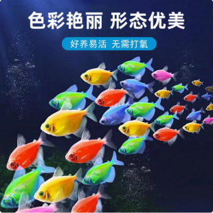��ʹ�^�p�~�ᎧС��Ⱥ�����ɲ�ɫ�ǹ���ˮ�~�Ꭷ�~�ͻ���B�B�׻�