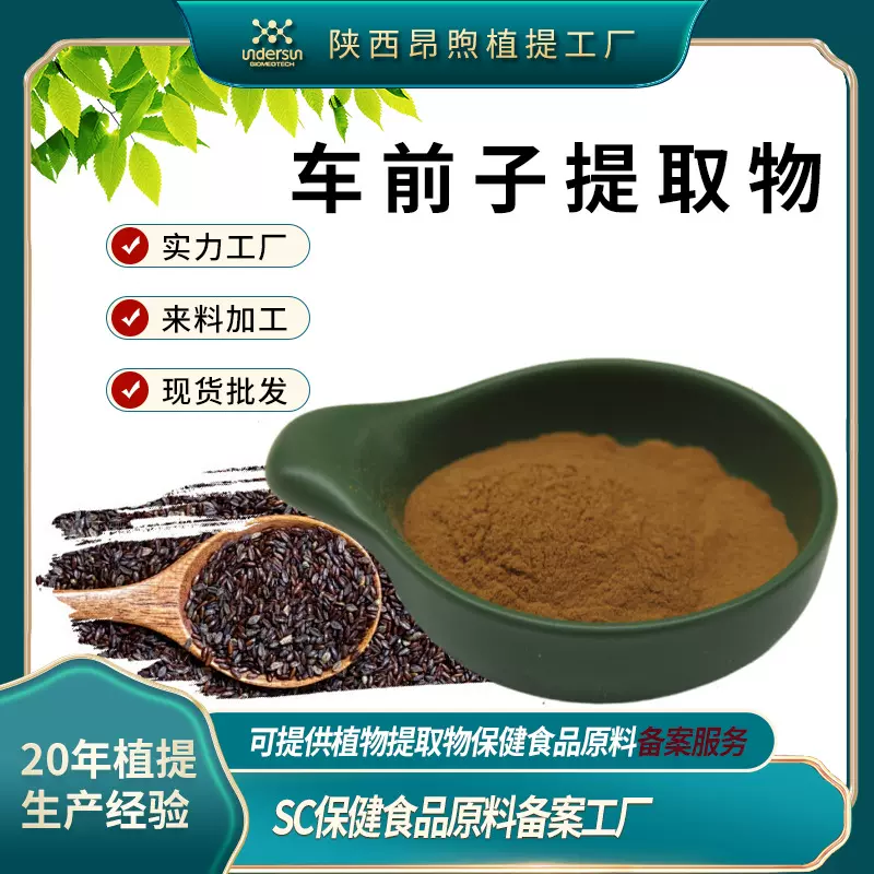 车前子提取物原料车前子生粉 源头工厂现货车前子提取物粉末
