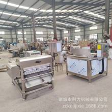 沿海城市带鱼切段机 冻鱼切割机 8公分刀鱼切段机现货304