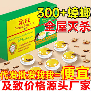Thai Cockroach Medicine for Home Use, Non-Toxic, Complete Nest Removal, Genuine Product, Powerful Insecticide, Dual Kill, Glue Bait Removal