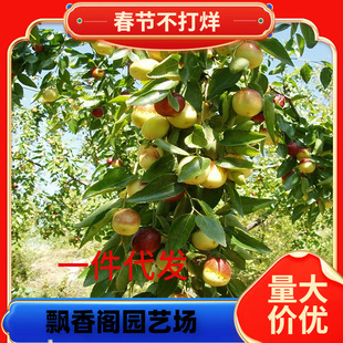 һ�����l�޽ӗ�����մ������������������ϱ���ͥԺ���Ե��ԷNֲ