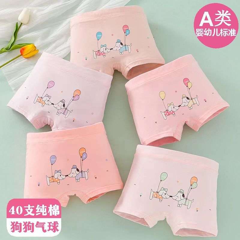 개 풍선 클래스 A 면 5 팩