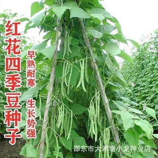 �t���ļ����N�����r����45���͟��ͺ�ܛŴ�o���ļ����N��