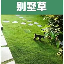 ��Ƥ��و���Ƥ��λ���@��С�^�G�����������R·��Ƥ������ƺͥԺ