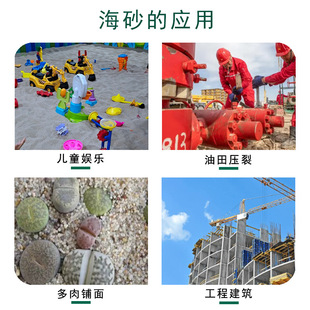 �S�ҹ������|����ɰ �|�ЈA��ɰ ��Ȼ�쾰ɰ �����ßᯟɳ