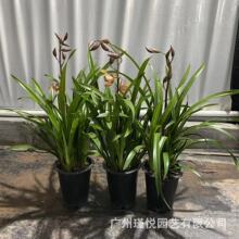 mԭFmBmݝ҃ȾGֲlīmm