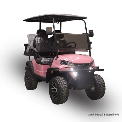 2-Seater 4-Seater Four-Wheel Golf | Elektrikli qolf avtomobilləri