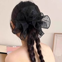 �nϵ���c�ٽz���c�lȦŮ�߼���㼑��L����̖�����^�Rβ�^�K�l�Ů