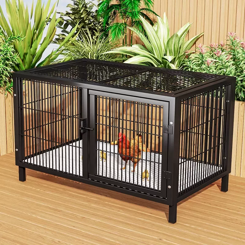 大号养殖笼自动清粪小鸡笼子家用鸭笼芦丁鸡鸭宠物专用铁丝室内外