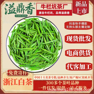 �綦���㽭�̰ײ�G��2026��ѿ����Y��ɢ�b�²���ǰ�谲���h��ˇ