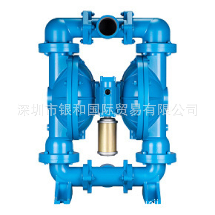 供应气动隔膜泵skylinkLS25K，SS-AAT/N-TT-TT-00需议价