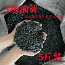 天然生油葵小瓜子牡丹玄凤鸽粮仓鼠红花籽鸟食黑珍珠鹦鹉饲料鸟粮