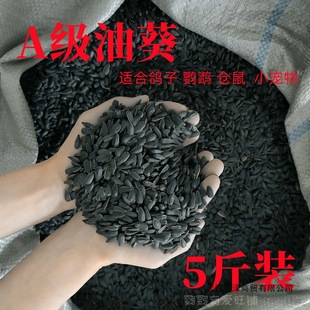 ��Ȼ���Ϳ�С����ĵ�����P���Z�}��t�����Bʳ�������W�^����B�Z