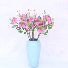 ���溣�Ļ� ����P���ٻ���Y�b͏d�[���Ƶ�[�žGֲ�쾰�b�