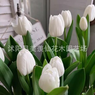 ��ɫ�����̨�����B5�ȷN���������҃����Ե�ˮͥԺ�ͺ���������