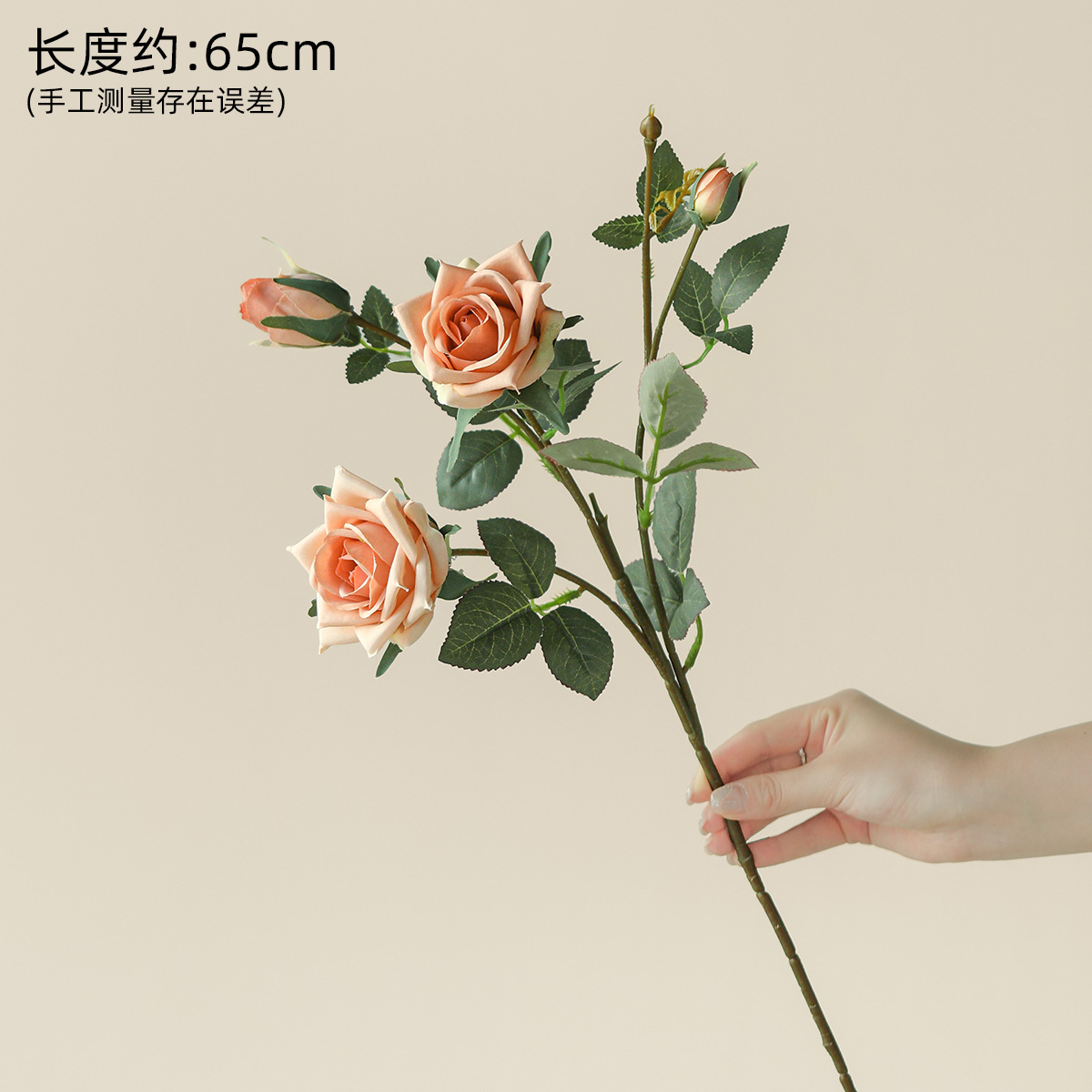 장미빛 오렌지색 한 송이