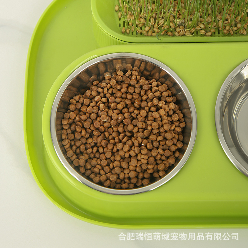 Nuevo estilo transfronterizo caja de hierba para gatos hidropónica, bocadillos para gatos, menta para gatos, plantación hidropónica sin suelo, juego de maceta de hierba para gatos, caja de hierba para gatos