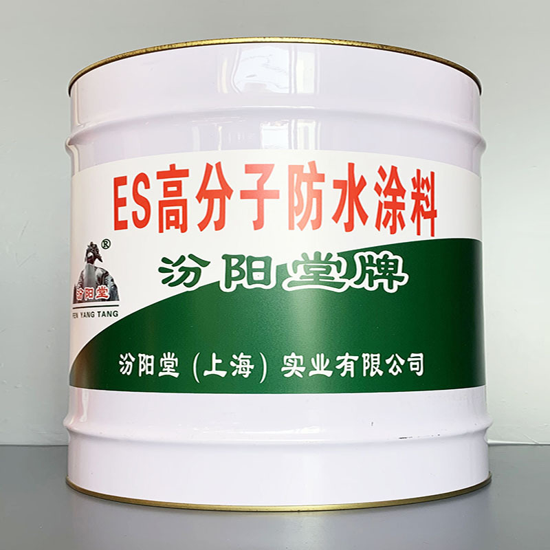 ES高分子防水涂料、选汾阳堂牌、ES高分子防水涂料、价格实惠