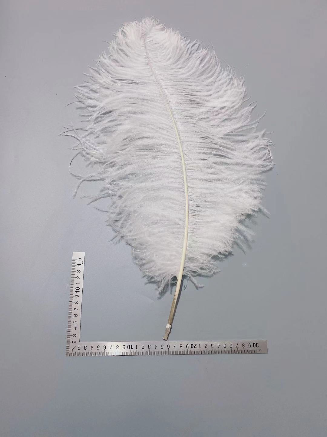 1871cc725e4576e459ced370e05df7