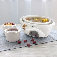 天際 DDZ-16A隔水燉鍋家用 電燉鍋煮粥熬煲湯鍋保溫定時 一鍋三膽