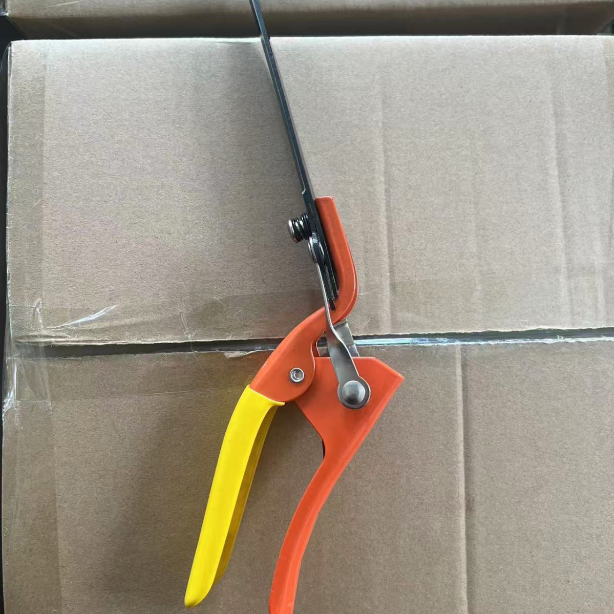 2025-08-29 12:43:36.jpg