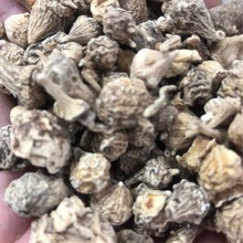 ���l���Ӆ� �u���� ��𾀵����J �郺�� �׵ع� ������