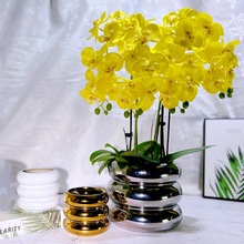 電鍍白色金色銀色小花盆陶瓷客廳桌面蝴蝶蘭花瓶盆栽北歐
