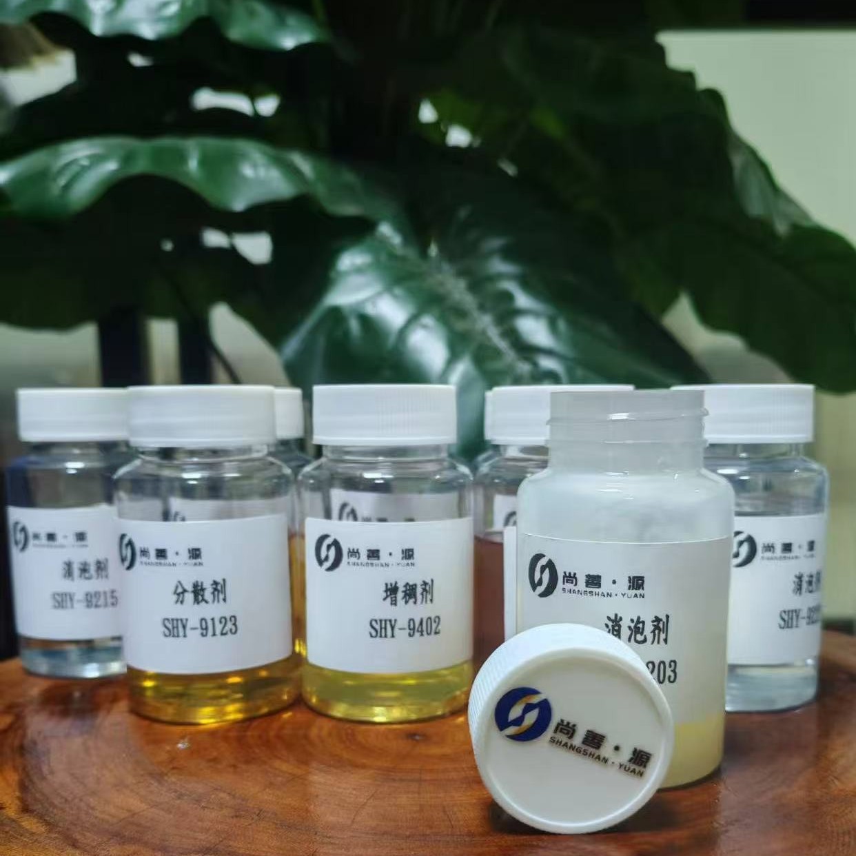 透明度和遮盖力颜料浓缩浆水性体系用高分子量润湿分散剂SHY-9119