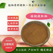 核桃提取物 水溶核桃粉  胡桃/羌桃提取物 500g/袋试验装 规格全