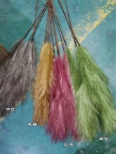 婚庆新年元旦芦苇花黑色 12头芦苇白色婚礼插花装饰假花