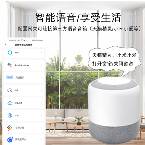 Smart Home Automated Curtain Assistant Assistant Wire-Free Installation Voice Remote Doodle WiFi Electric Curtain Machine