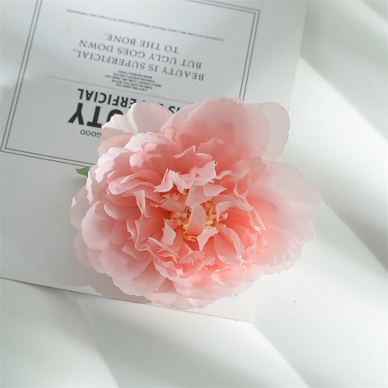 10センチの牡丹の花は花の頭を模倣しています。|undefined