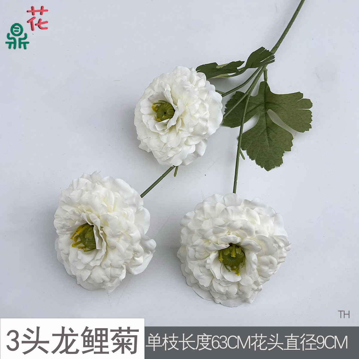 3등룡잉어 국화 TH 화이트