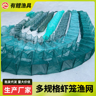 �r�\�O�W���~�W���r�\���~�\���q�S�X�W���~�\�����Bֳ�O�W���l